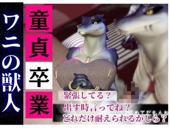 【合計4本】 鰐ワニの獣人クロクシゴールちゃんが童貞奪ってイチャラブ編の大ボリューム【月桂樹】