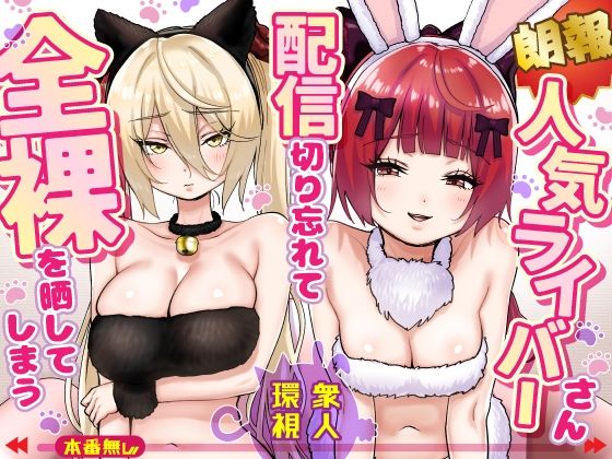 【朗報】人気ライバーさん 配信切り忘れて全裸を晒してしまう【P＆I】