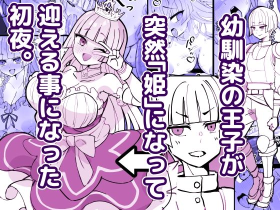 幼馴染の王子が突然「姫」になって迎える事になった初夜。【ひだかまいにち】